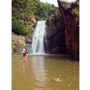 Meet your Posher, Alfa lineth